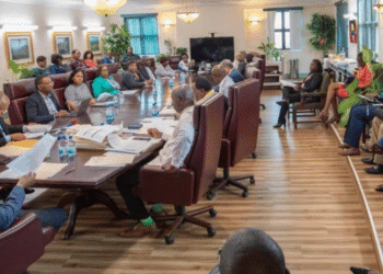 Government to enforce strict policy for the purchase of new vehicles