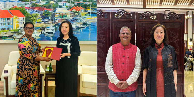 More expressions of gratitude pour in for outgoing Chinese Ambassador Zhang