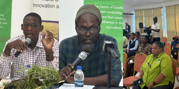 Farmers attend workshop on the quality seed management and conservation