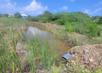 Minister Turner, NODS pleased with the response to TS Jerry