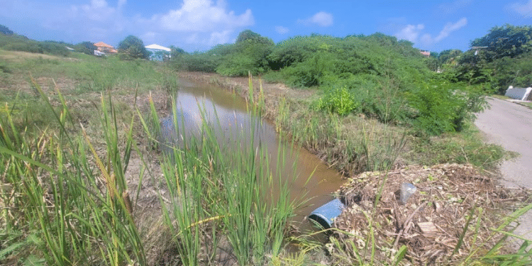 Minister Turner, NODS pleased with the response to TS Jerry