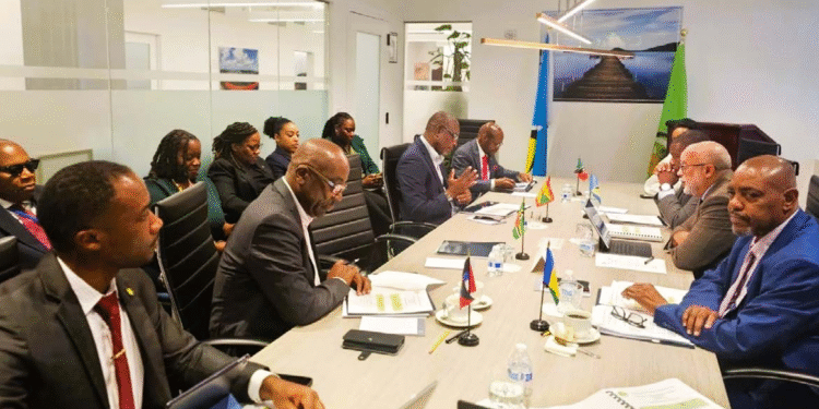 OECS Council of Ministers: Foreign Affairs Chart Unified Path to Safeguard Livelihoods