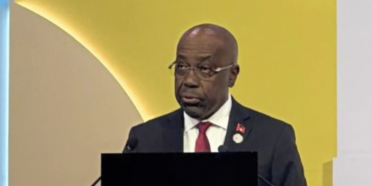 Foreign Minister Greene calls for the relationship between the EU and CELAC to be transformative and just