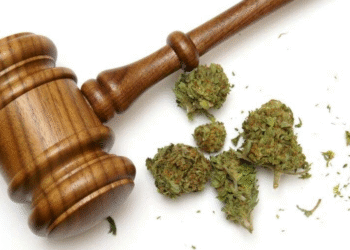 Two Men Arrested for Unlawful Possession of Cannabis