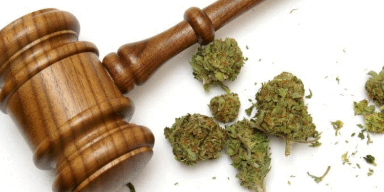 Two Men Arrested for Unlawful Possession of Cannabis