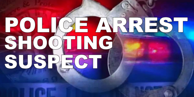 Several Persons in Police Custody for Shooting and Unlawful Possession of Cannabis