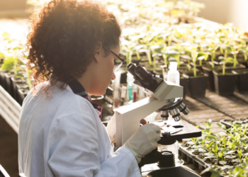 Applications invited: Climate, Food and Farming, Global Research Alliance Development Scholarships Programme (CLIFF-GRADS)