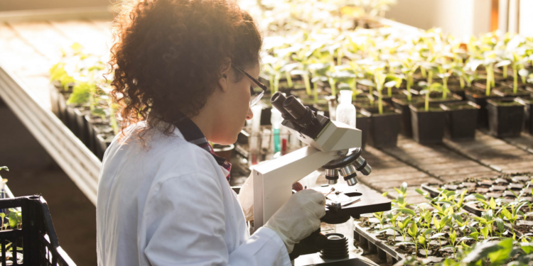 Applications invited: Climate, Food and Farming, Global Research Alliance Development Scholarships Programme (CLIFF-GRADS)