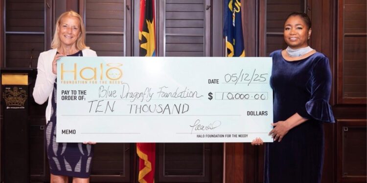 The Halo Foundation donates to The Blue Dragonfly Foundation’s Transformative Initiative