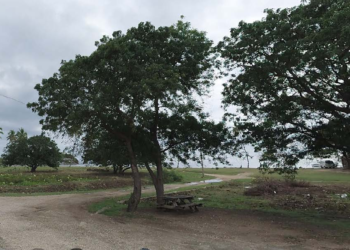 Government to create ‘esthetically pleasing space’ for vendors at Morris Bay