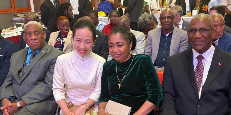 New Chinese ambassador welcomed with warm reception